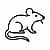 Rat Tattoos