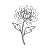 Chrysanthemum Tattoos