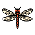 Dragonfly Tattoos